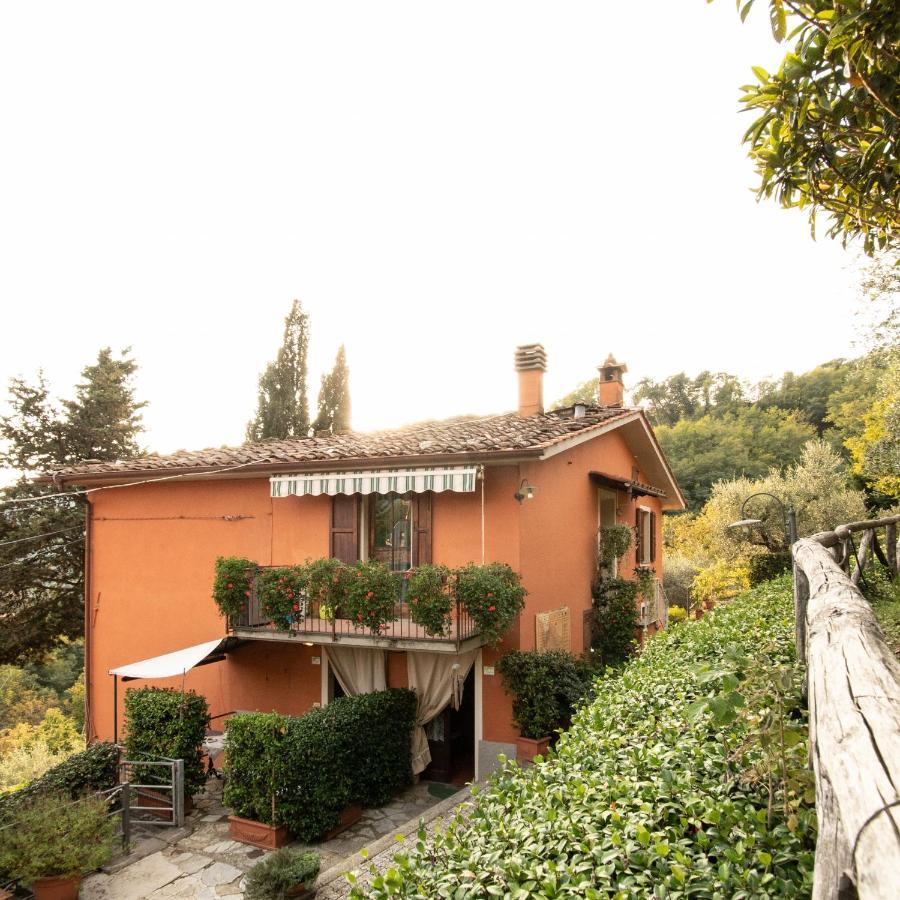 Casetta Di Butia, Mimosa Apartment Borgo a Mozzano Exterior photo